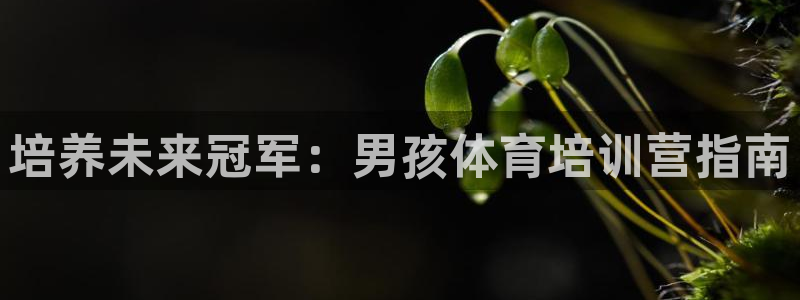 尊龙凯时网娱乐官网：培养未来冠军：男孩体育培训营指南