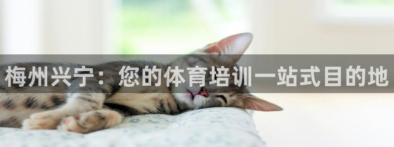 凯时APP官网首页：梅州兴宁：您的体育培训一站式目的