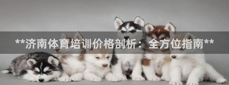 尊龙凯时注册入口：**济南体育培训价格剖析：全方位指