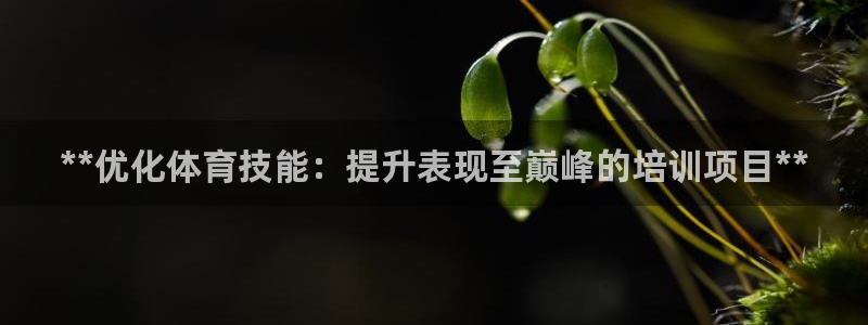 尊龙凯时官网网址：**优化体育技能：提升表现至巅峰的培训项目