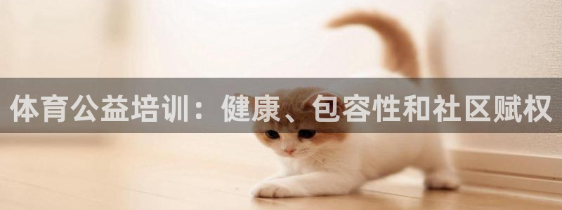 尊龙d88皆选ag发财网：体育公益培训：健康、包容性