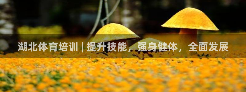 尊龙l1500：湖北体育培训 | 提升技能，强身健体