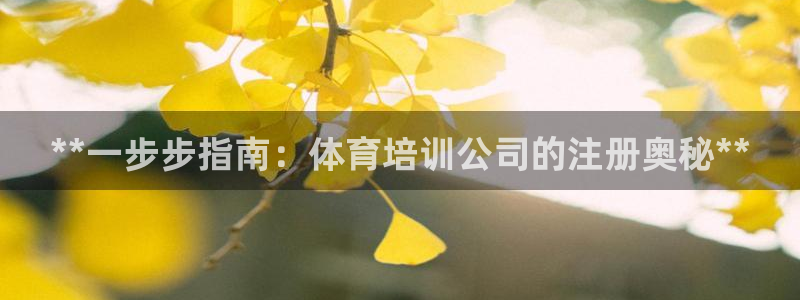 尊龙凯时人生就是搏客户：**一步步指南：体育培训公司