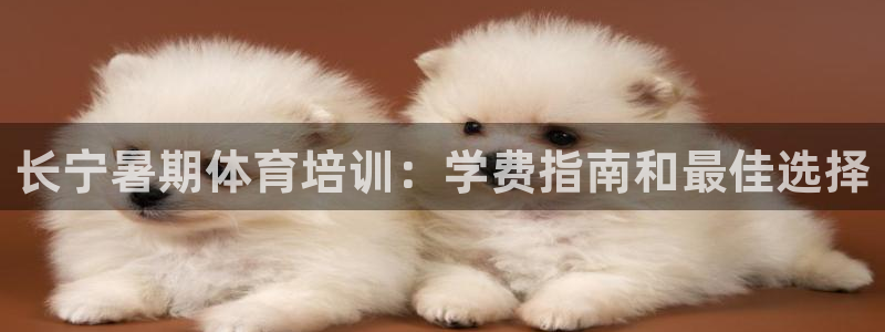 尊龙凯时不给提款：长宁暑期体育培训：学费指南和最佳选