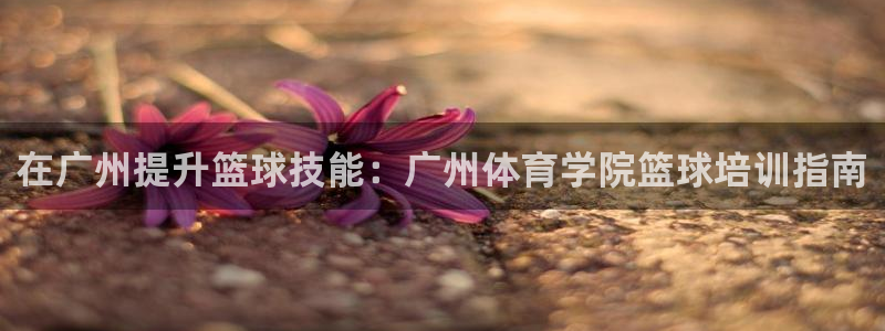 尊龙凯时取款24小时不到账：在广州提升篮球技能：广州