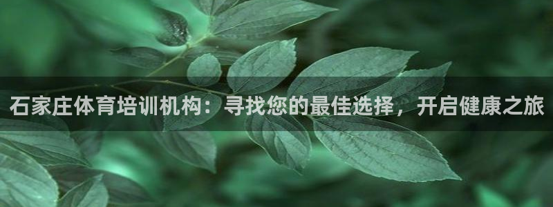 尊龙z6官网：石家庄体育培训机构：寻找您的最佳选择，