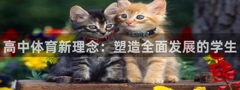 尊龙eight is enough