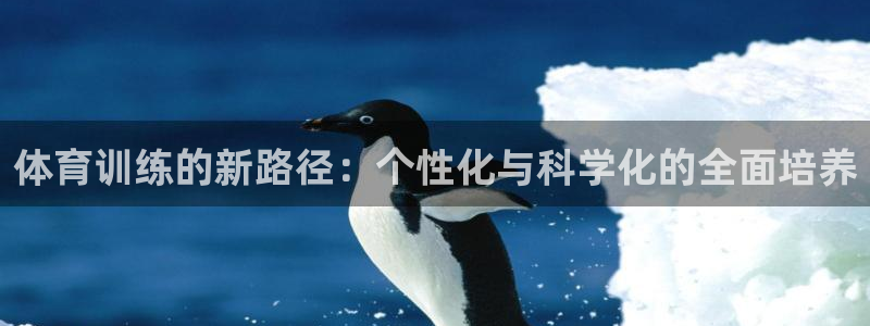 尊龙凯时这个平台怎么样