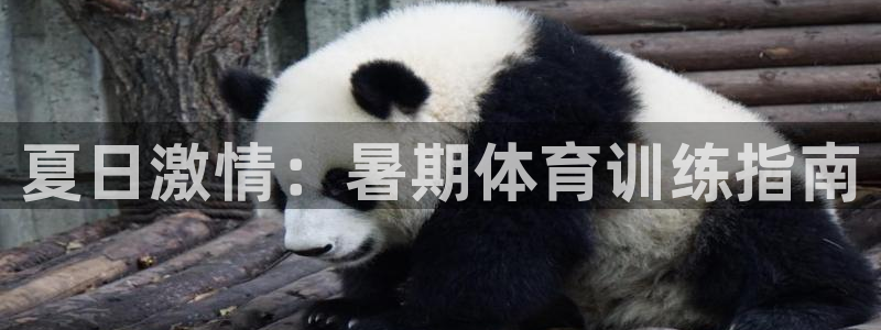 z6尊龙凯时旗