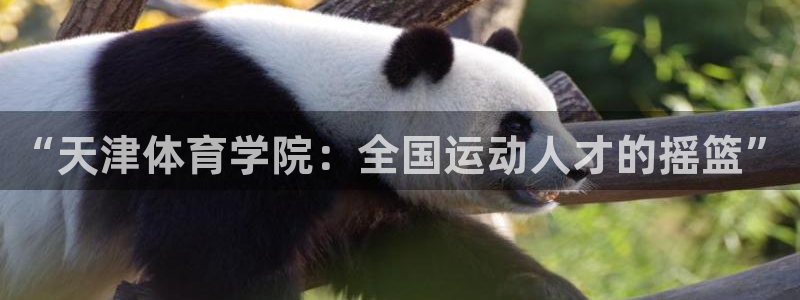 凯时k66官方发布