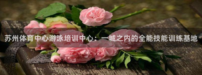 尊龙传奇英文怎么写