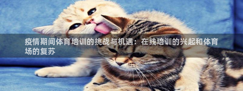 尊龙手机客户端app：疫情期间体育培训的挑战与机遇：在线培训