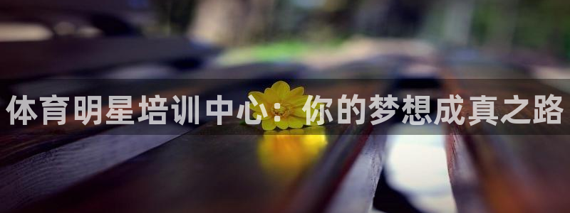 尊龙t600怎么样：体育明星培训中心：你的梦想成真之路