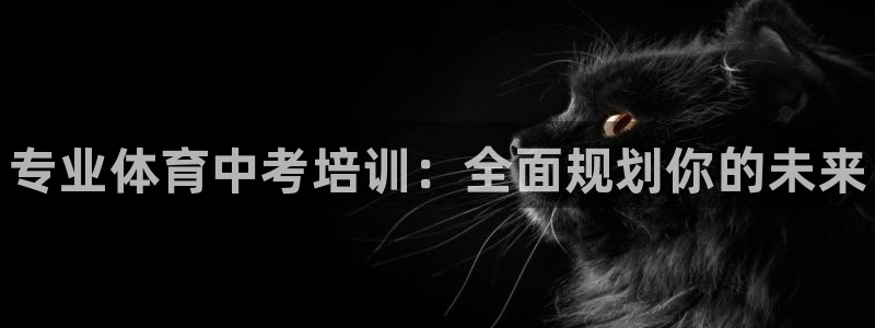 尊龙软件下载：专业体育中考培训：全面规划你的未来