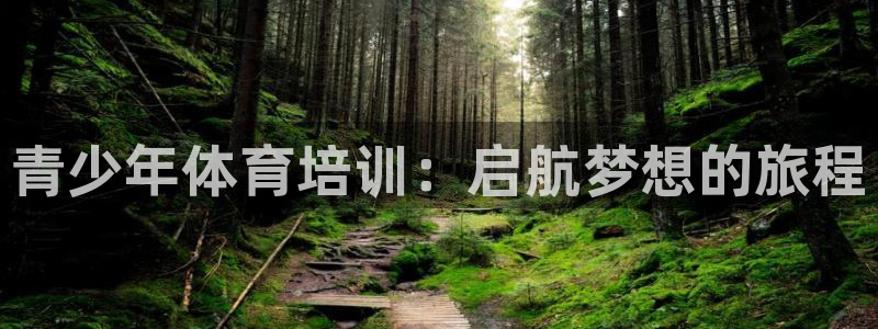 尊龙z6官网：青少年体育培训：启航梦想的旅程